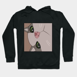 Meme cat close up Hoodie